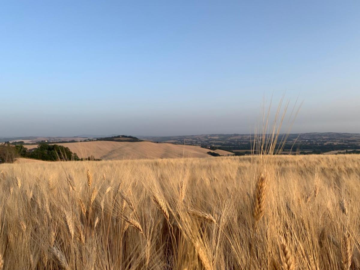 Naturaverde Country House Senigallia Bagian luar foto